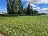 Terrain à Bâtir — photo 2