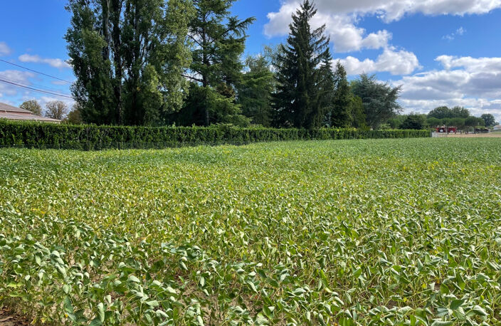 Terrain à Bâtir — photo 2