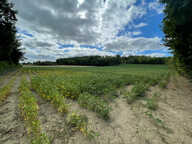 Terrain à Bâtir — photo 3