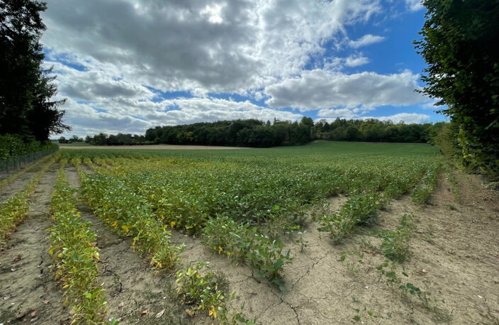 Terrain à Bâtir — photo 3