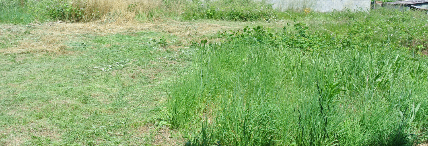 Terrain  1268 m² à vendre à Marmande (47200)