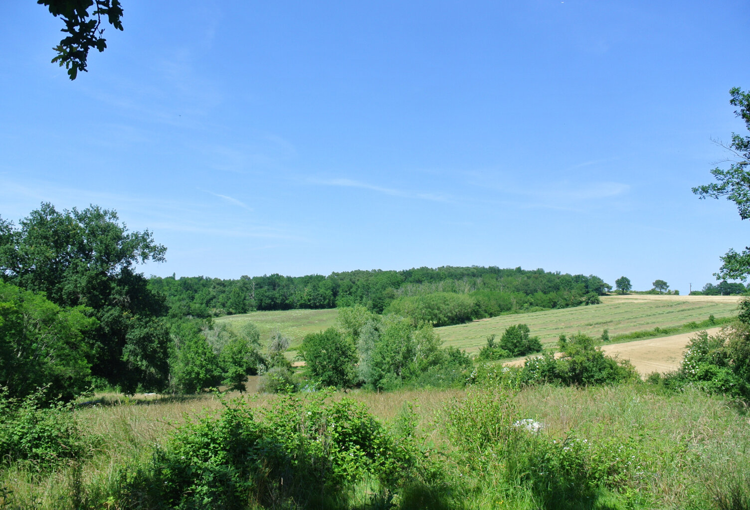 Terrain agricole avec lac — photo 1