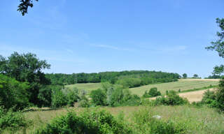 Terrain  25560 m² à vendre à Castelnau-sur-Gupie (47180)