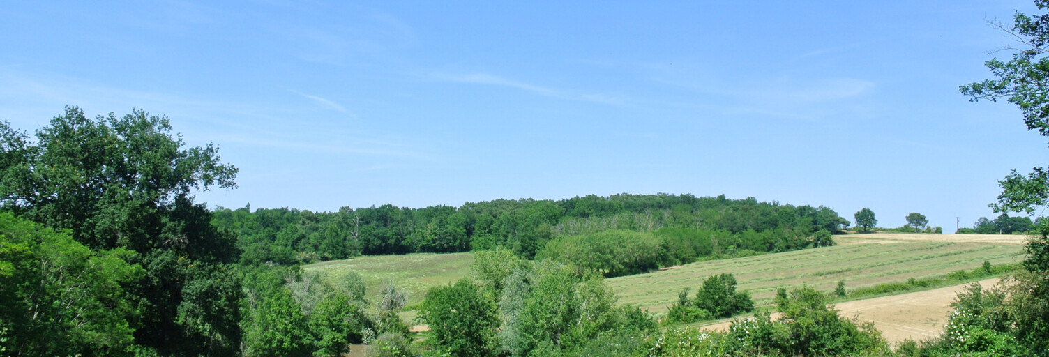 Terrain  25560 m² à vendre à Castelnau-sur-Gupie (47180)