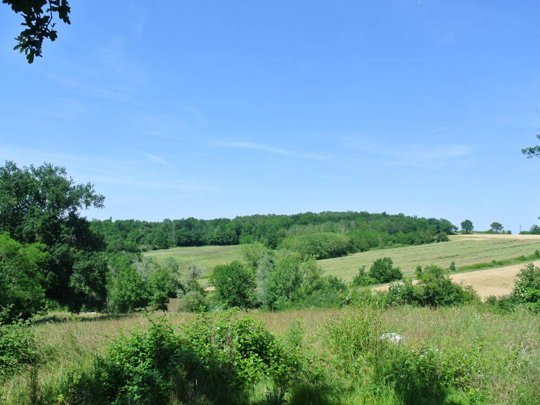 Terrain agricole avec lac — photo 1