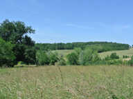 Terrain agricole avec lac — photo 2