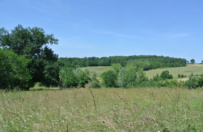 Terrain agricole avec lac — photo 2