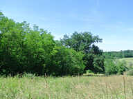 Terrain agricole avec lac — photo 3