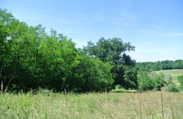 Terrain agricole avec lac — photo 3