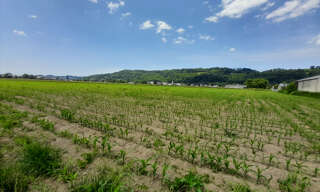 Terrain  6181 m² à vendre à Lézignan (65100)