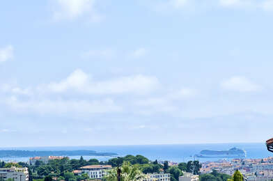 Commerce  589000 €