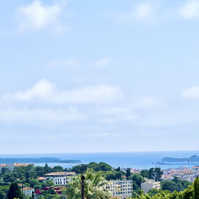 Commerce  589000 €