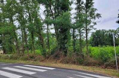 vente terrain 98 000 € à proximité de La Lande-de-Fronsac (33240)