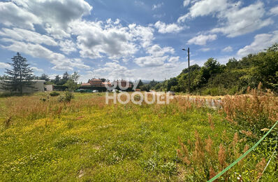 terrain  pièces 2191 m2 à vendre à Charly (69390)