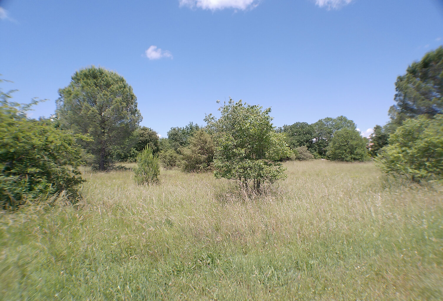 À VENDRE- 3 PARCELLES DE TERRAINS À BATIR VIABILISÉ- SAUVE — photo 1