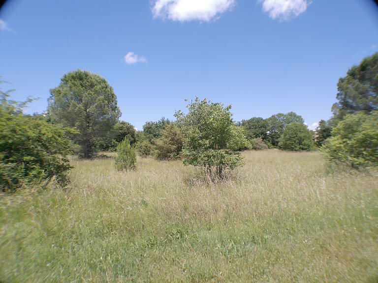 À VENDRE- 3 PARCELLES DE TERRAINS À BATIR VIABILISÉ- SAUVE — photo 1