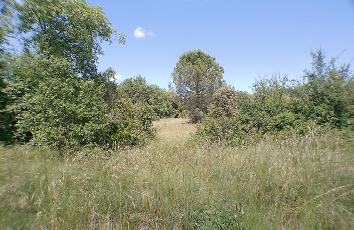 À VENDRE- 3 PARCELLES DE TERRAINS À BATIR VIABILISÉ- SAUVE — photo 4
