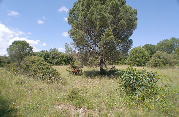 À VENDRE- 3 PARCELLES DE TERRAINS À BATIR VIABILISÉ- SAUVE — photo 5