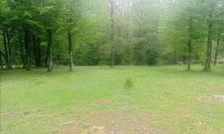 Photo N° 5