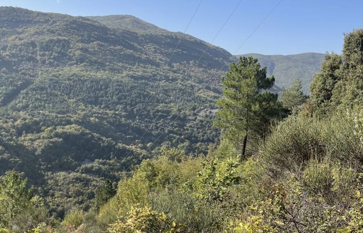 terrain  pièces 4720 m2 à vendre à Castillon (06500)