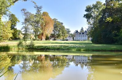 vente maison 3 950 000 € à proximité de Saint-Père-sur-Loire (45600)