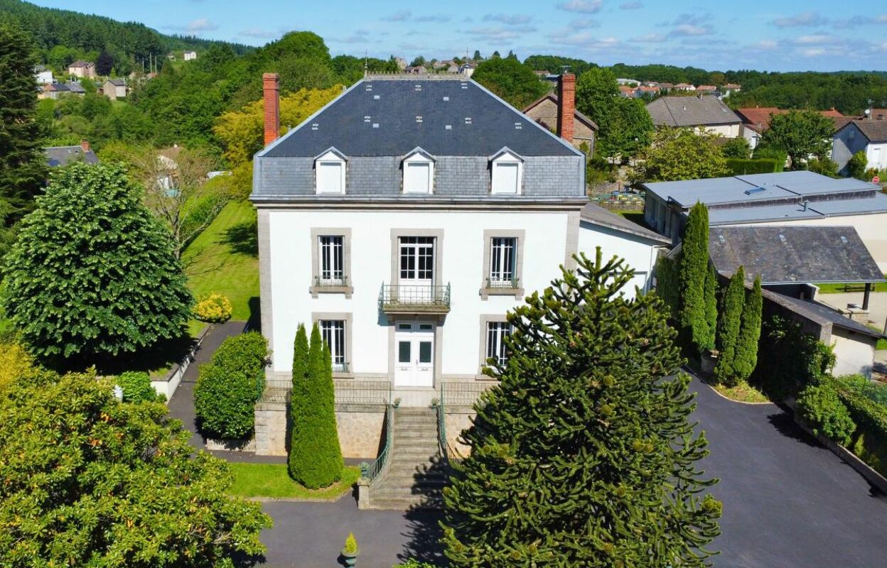 maison 9 pièces 271 m2 à vendre à Saint-Sulpice-Laurière (87370)