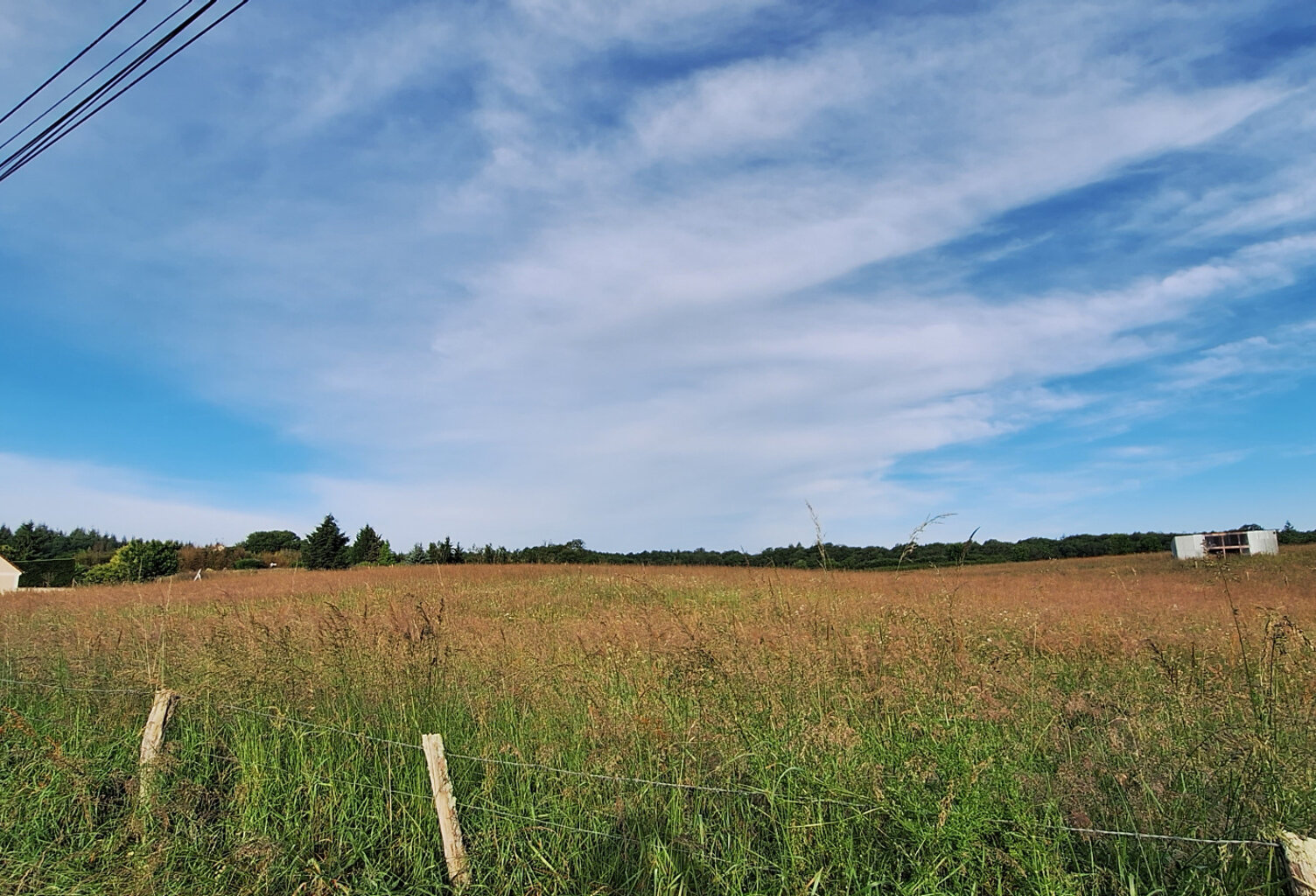 CERISIERS,TERRAIN CONSTRUCTIBLE DE 1888M2 AU CALME AVEC UNE — photo 1
