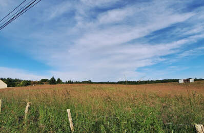 CERISIERS,TERRAIN CONSTRUCTIBLE DE 1888M2 AU CALME AVEC UNE — photo du bien