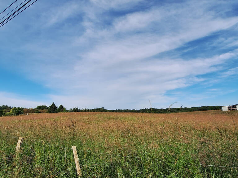 CERISIERS,TERRAIN CONSTRUCTIBLE DE 1888M2 AU CALME AVEC UNE — photo 1