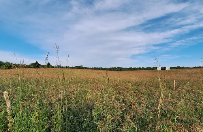 CERISIERS,TERRAIN CONSTRUCTIBLE DE 1888M2 AU CALME AVEC UNE — photo 2