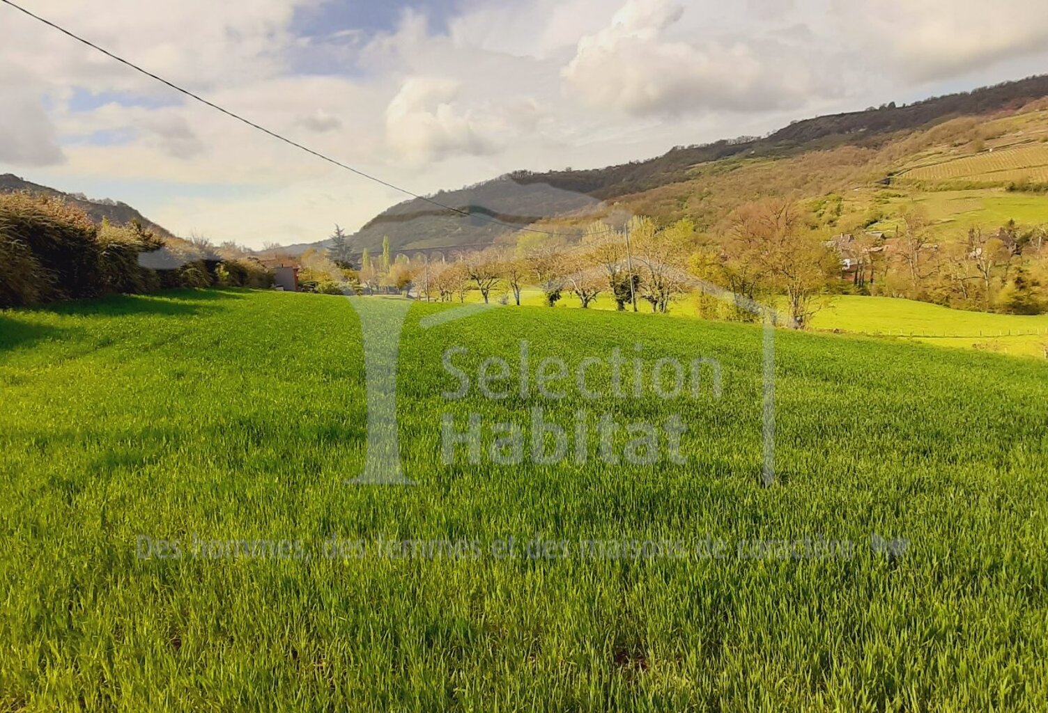 Terrain constructible — photo 1
