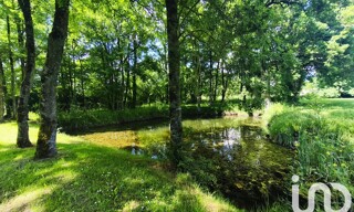 Photo N° 5