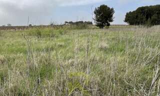 Terrain   m² à vendre à Servian (34290)