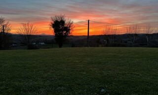 Photo N° 4