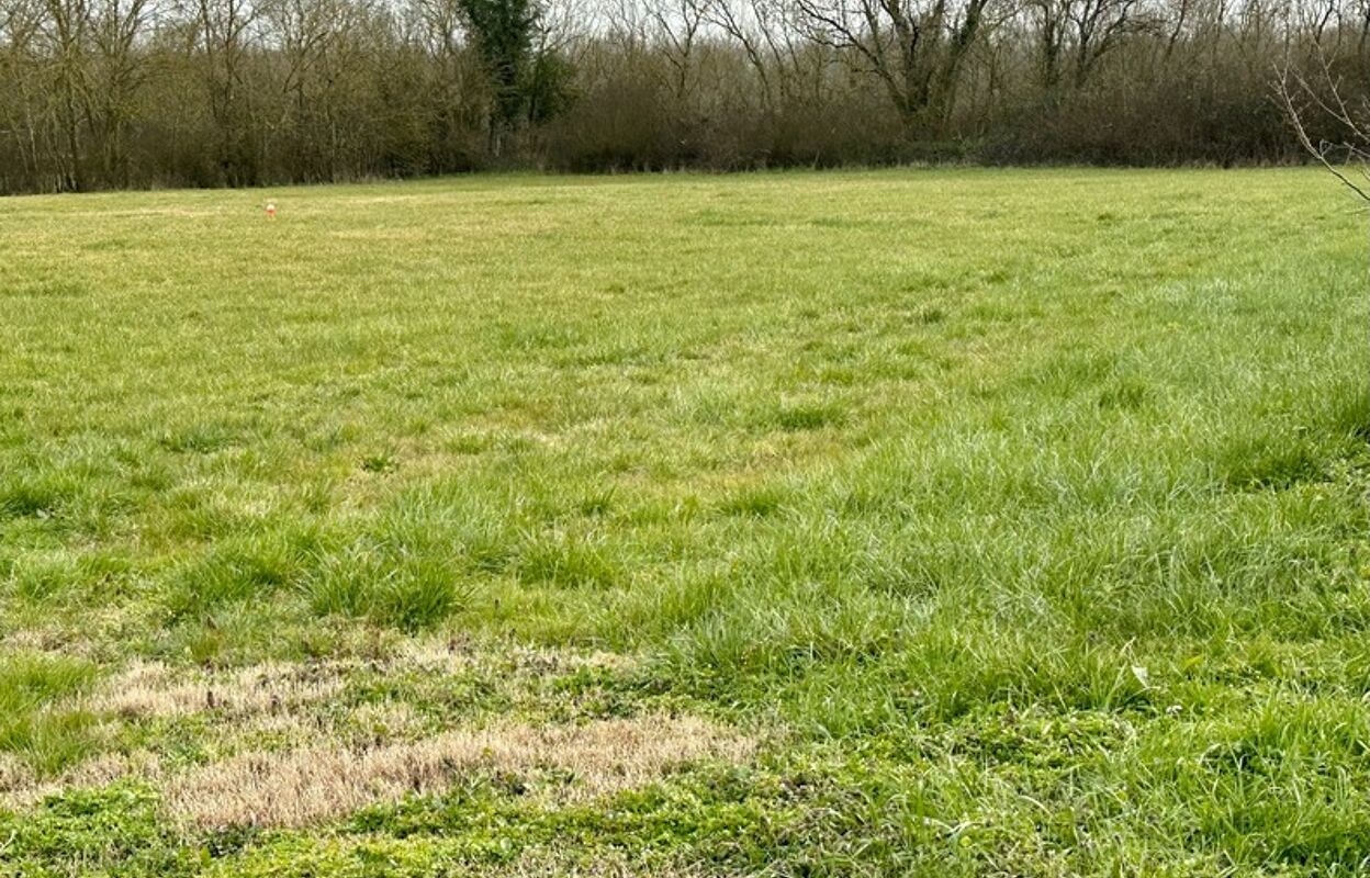 terrain  pièces 966 m2 à vendre à Ciré-d'Aunis (17290)