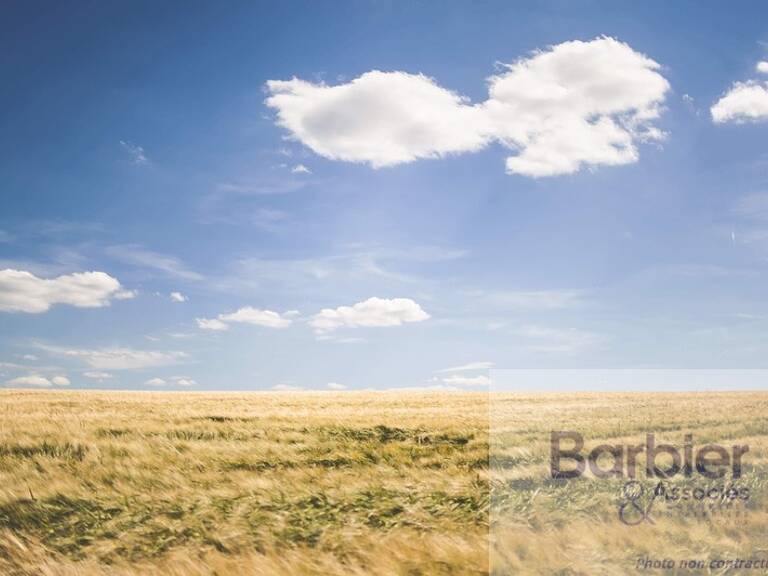 Terrain — photo 1