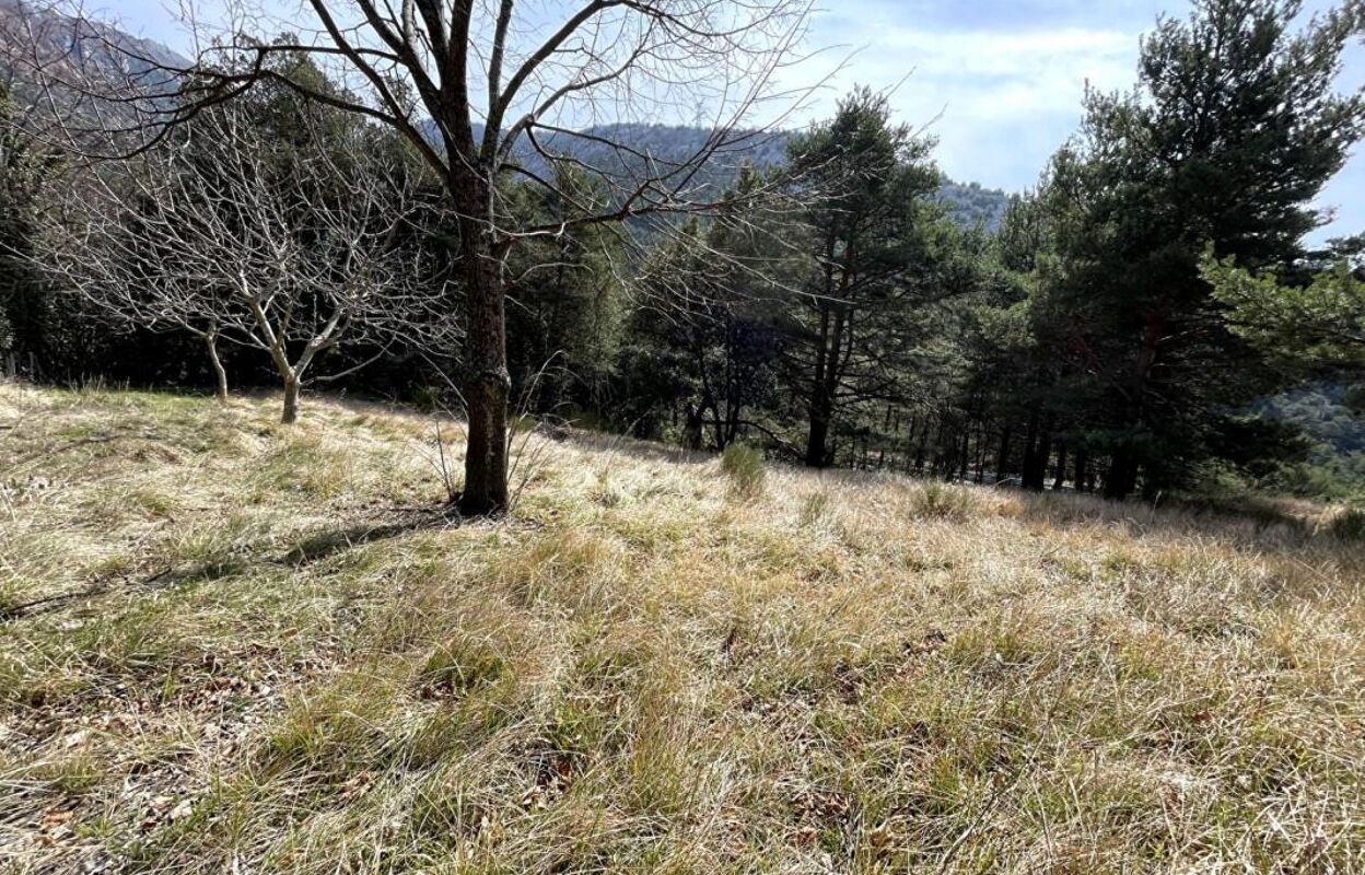 terrain  pièces 3500 m2 à vendre à Escragnolles (06460)