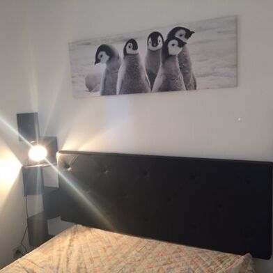 Appartement 2 pièces 859 €