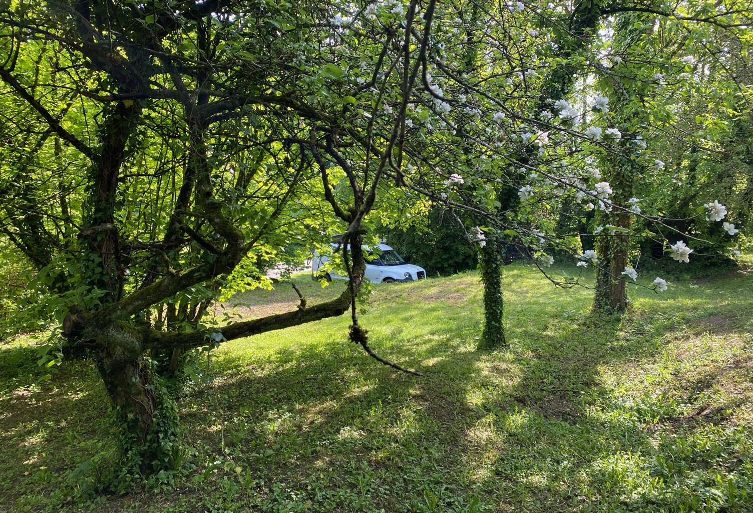 TERRAIN À BÂTIR DANS LA COMMUNE D'HESCAMPS — photo 1