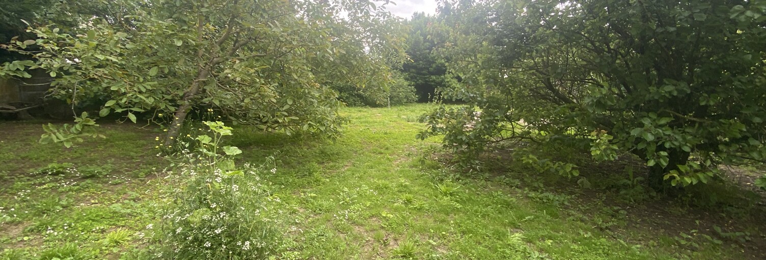 Terrain  1051 m² à vendre à Saint-Froult (17780)