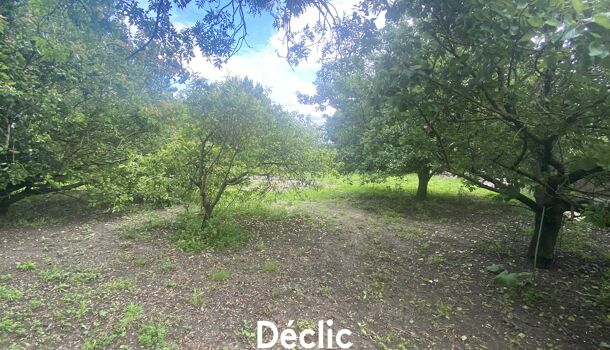Terrain  à vendre Saint-Froult 17780