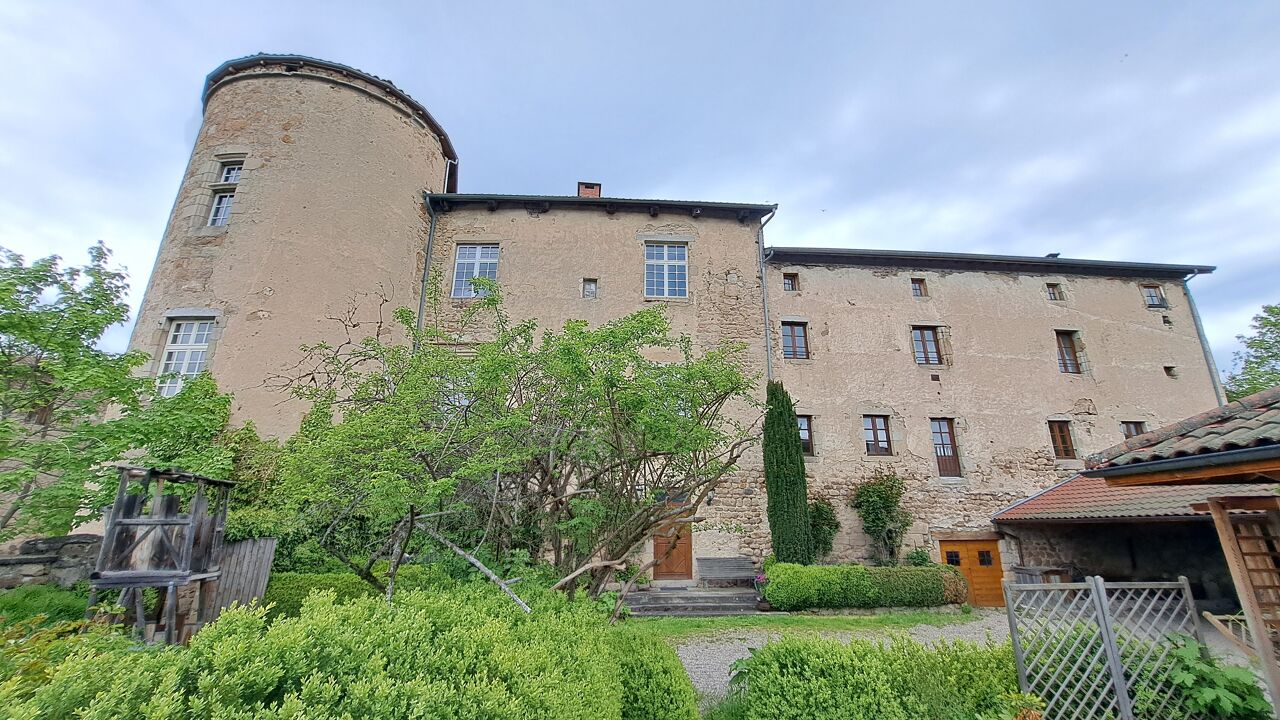 maison 22 pièces 750 m2 à vendre à Ambert (63600)