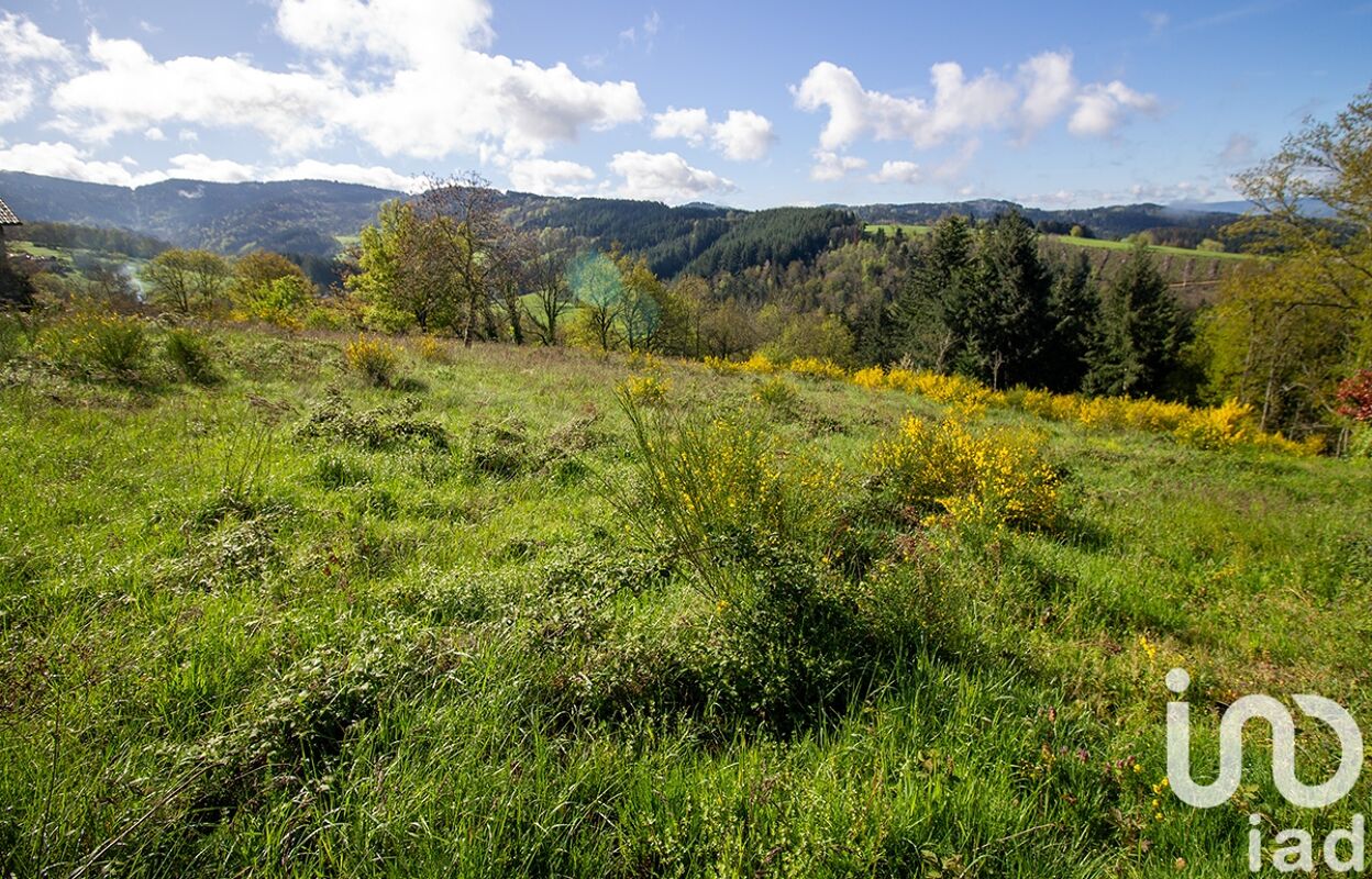 terrain  pièces 1892 m2 à vendre à Ambert (63600)