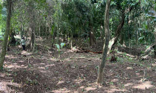 Terrain  970 m² à vendre à Saint-Joseph (97212)