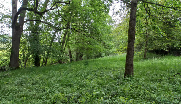 Propri&eacute;t&eacute; 7 pièces  à vendre Pagolle 64120