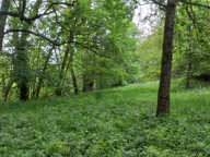 Maison à la campagne  *** VENDU PAR L'AGENCE   **** — photo 3