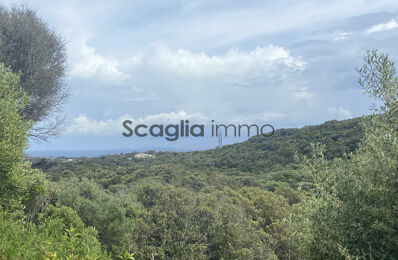 vente maison 2 730 000 € à proximité de Pianottoli-Caldarello (20131)