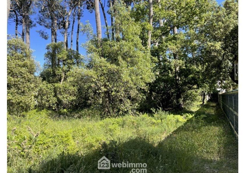 Agence immobilière de 123webimmo.com