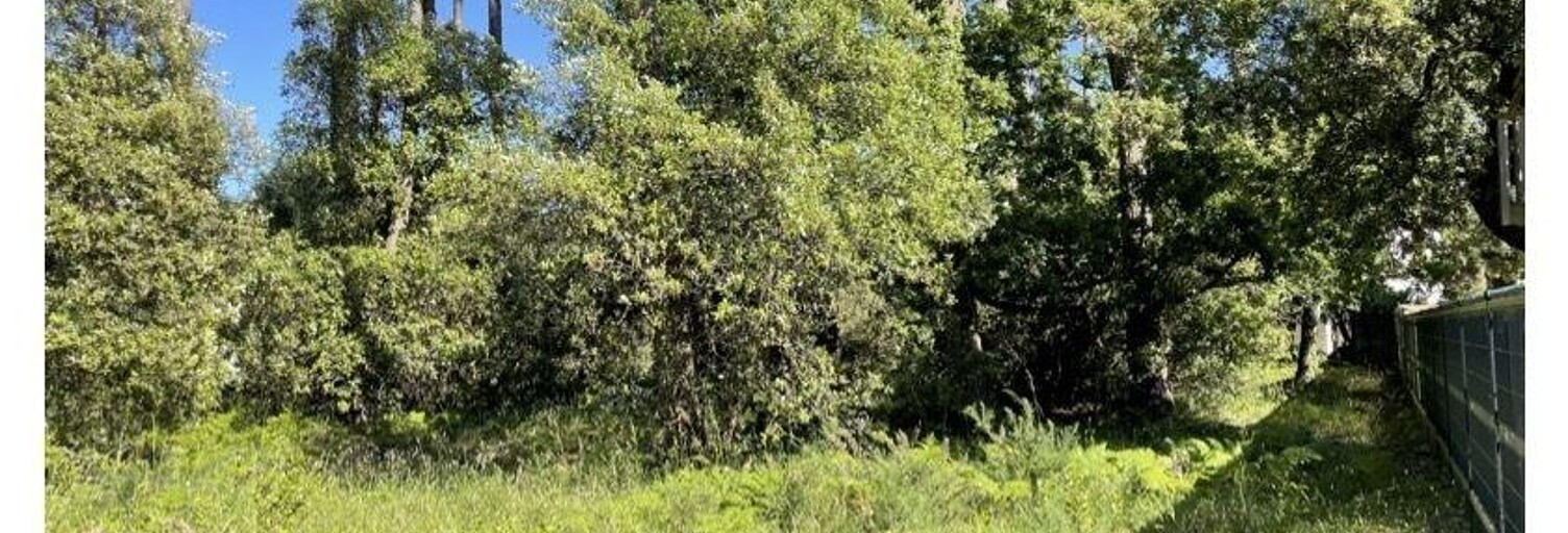 Terrain  1182 m² à vendre à Jard-sur-Mer (85520)