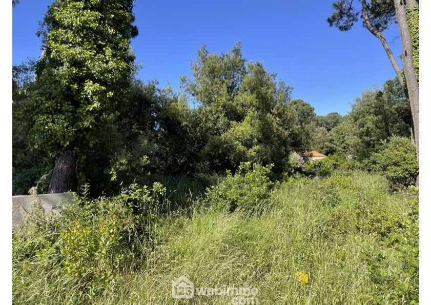 Terrain à bâtir - 1182m² - Jard-sur-Mer